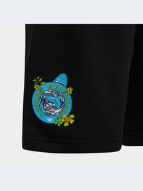 Шорты Adidas Graphics модель HF7447 Фото