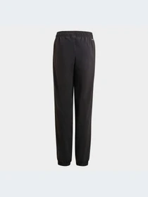Брюки Adidas модель GN4099 Фото