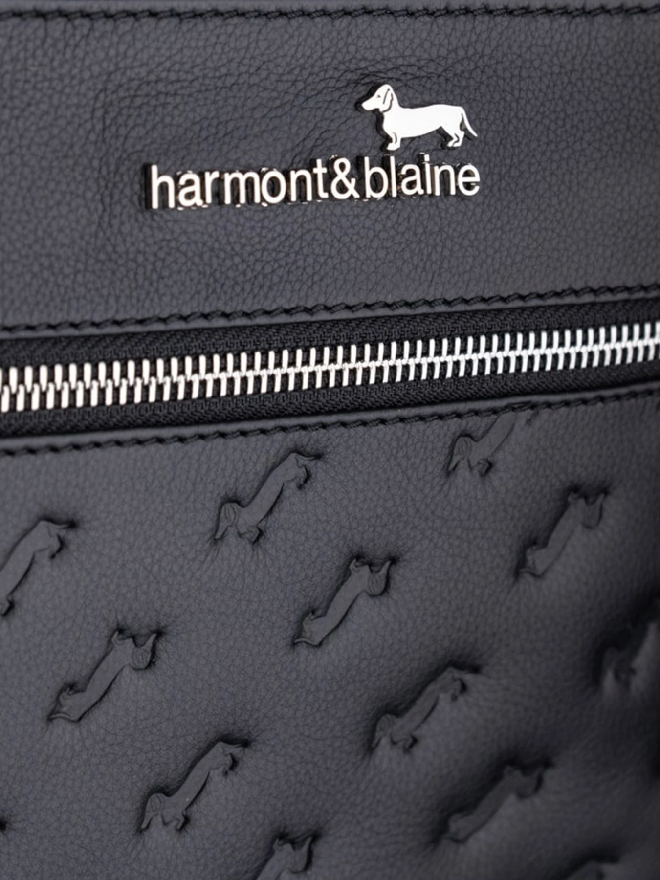 Сумки Harmont&Blaine модель H2DPMH080032999 Фото