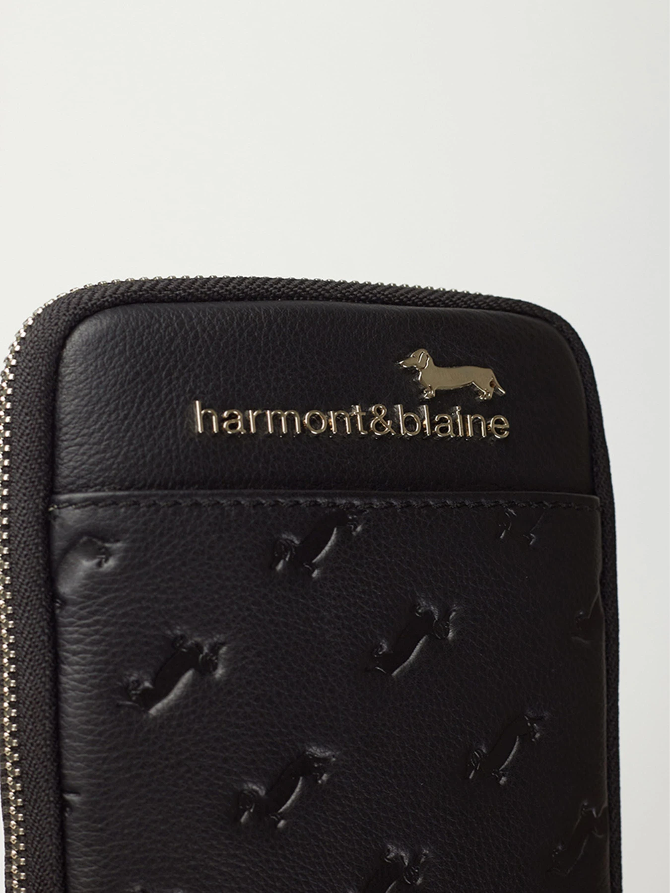 Сумки Harmont&Blaine модель H2DPMH080012999 Фото