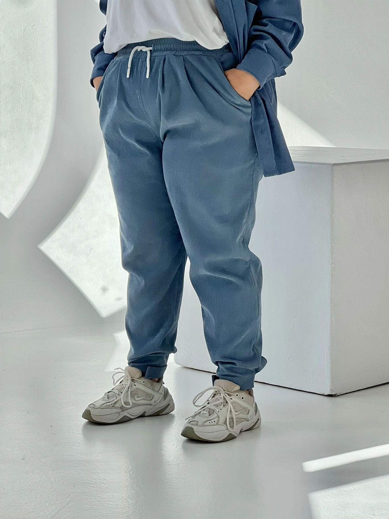 Брюки IJ модель ij-pants-lip-velvet-blue Брюки IJ модель ij-pants-lip-velvet-blue Фото