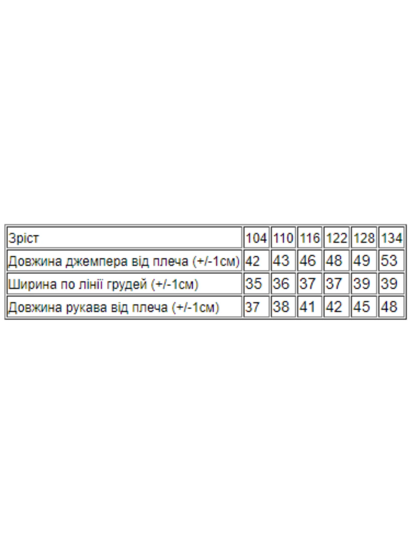 Худи и свитшоты Носи своє модель 6069-057-33-5-chornilxno-sinj Фото