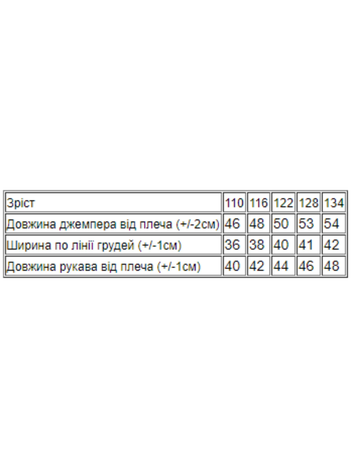 Худі та світшоти Носи своє модель 6069-023-5-svtlo-malinovij Фото
