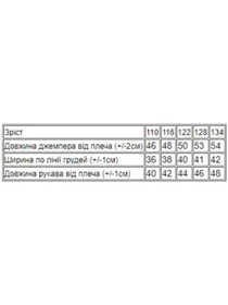 Худі та світшоти Носи своє модель 6069-023-5-svtlo-malinovij Фото