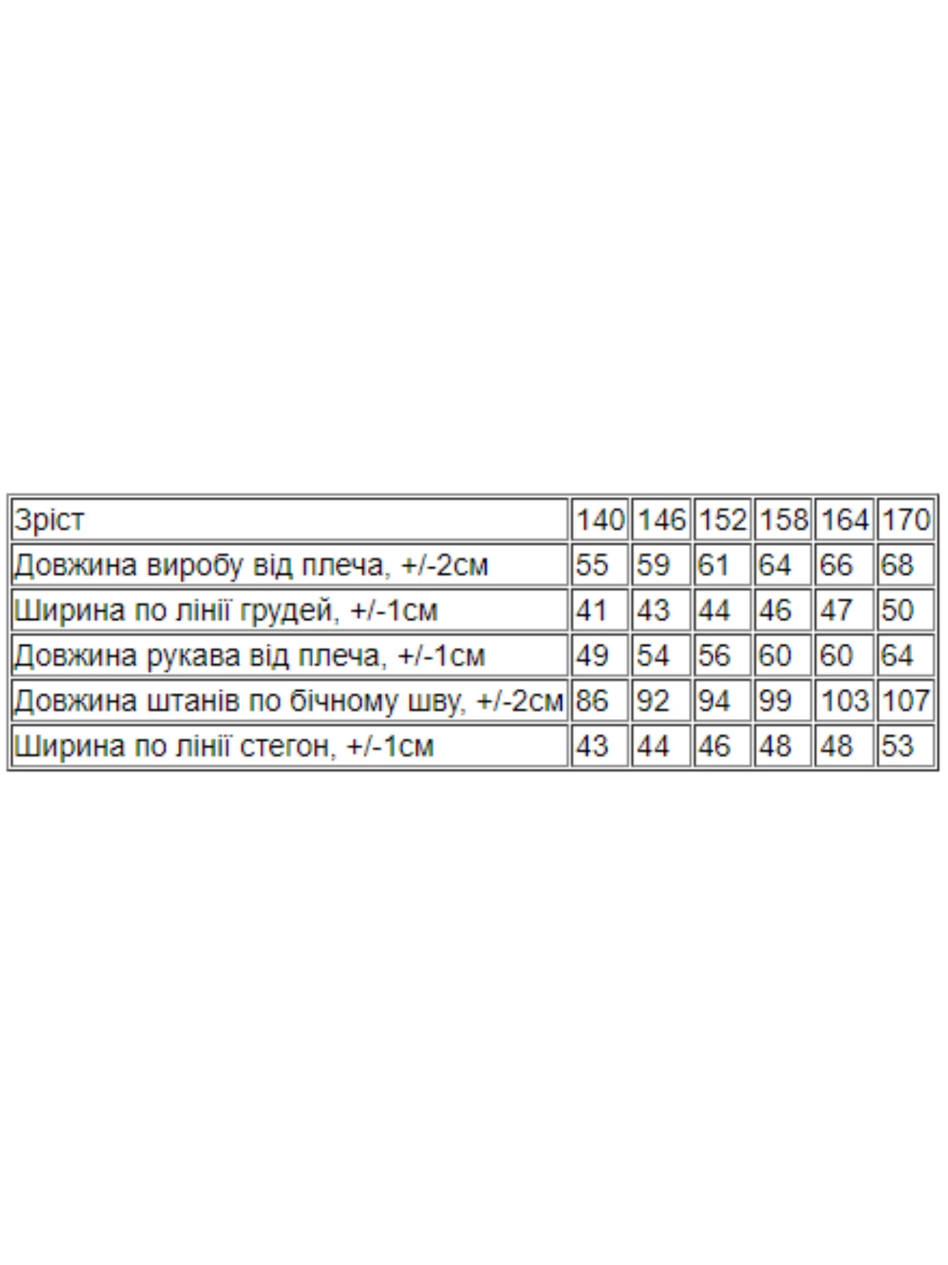 Одежда для дома и сна Носи своє модель 6079-035-2-1-blakitnij Фото