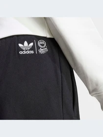 Брюки Adidas Graphics модель HY4265 Фото