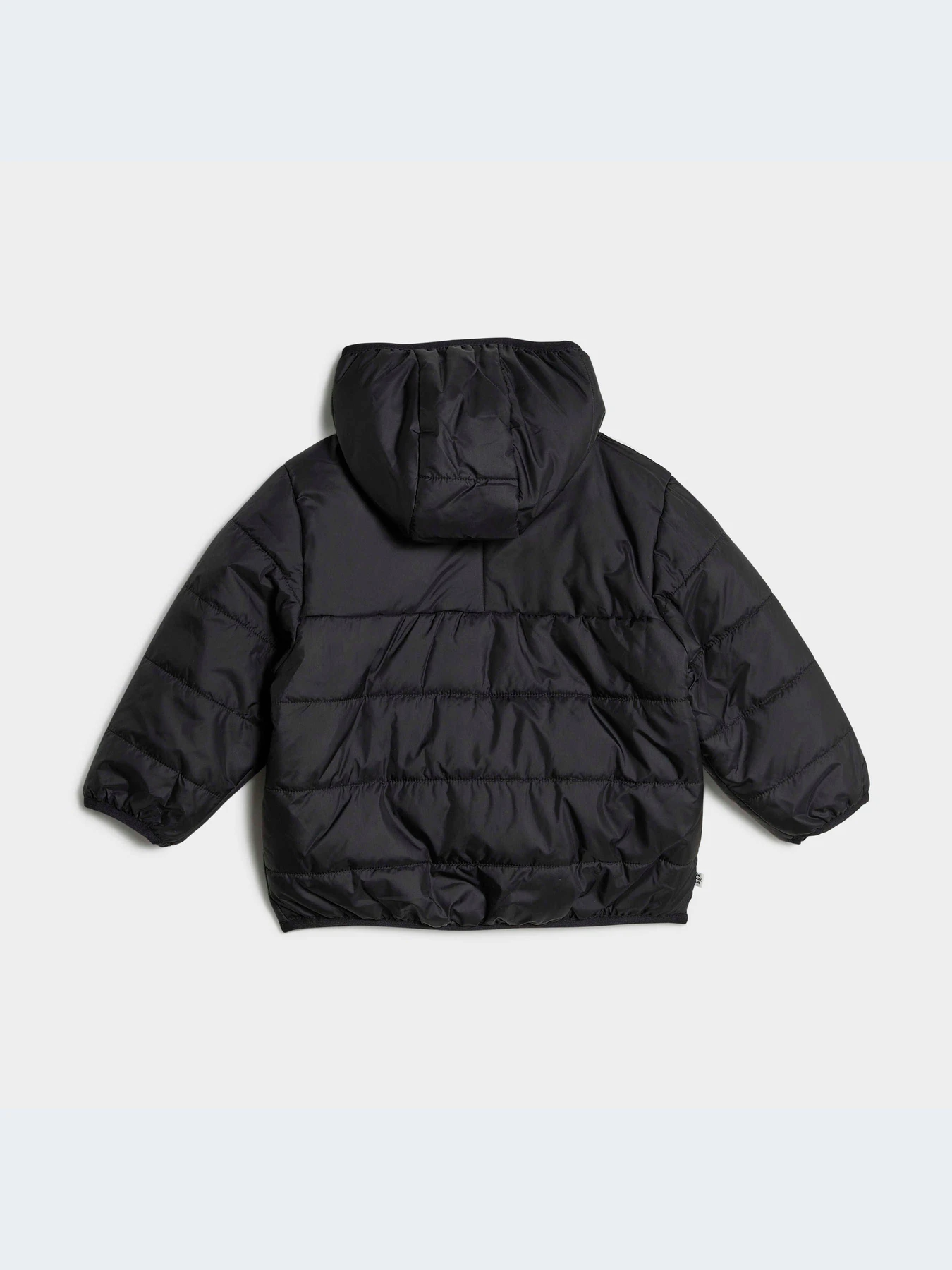 Куртки и дубленки Adidas Adicolor модель HK7451 Фото