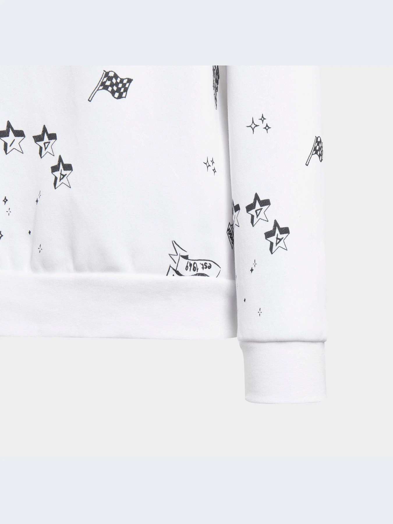 Худи и свитшоты Adidas Graphics модель IA1575 Худи и свитшоты Adidas Graphics модель IA1575 Фото
