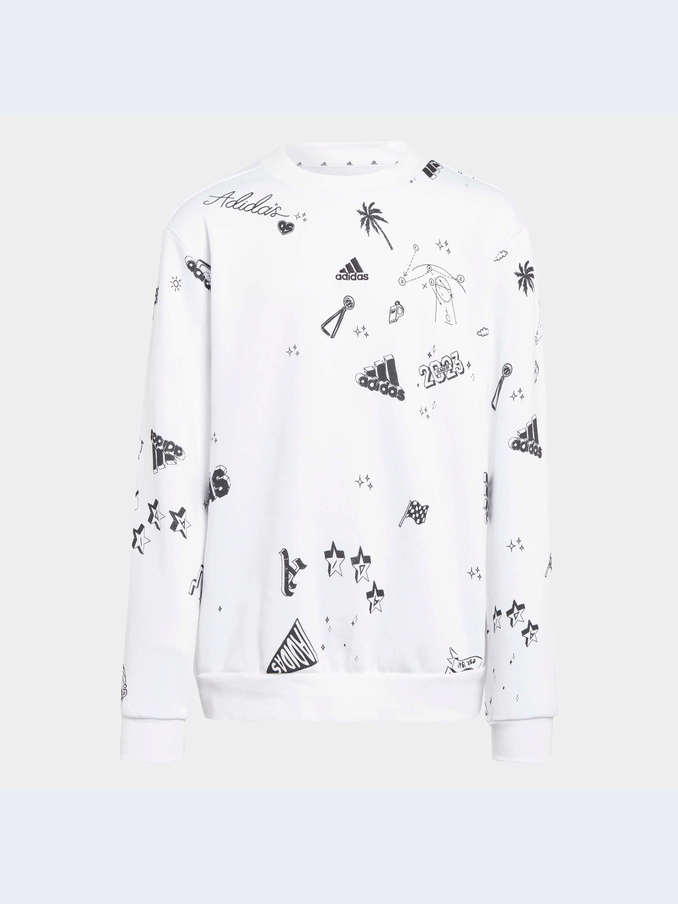 Худи и свитшоты Adidas Graphics модель IA1575 Худи и свитшоты Adidas Graphics модель IA1575 Фото