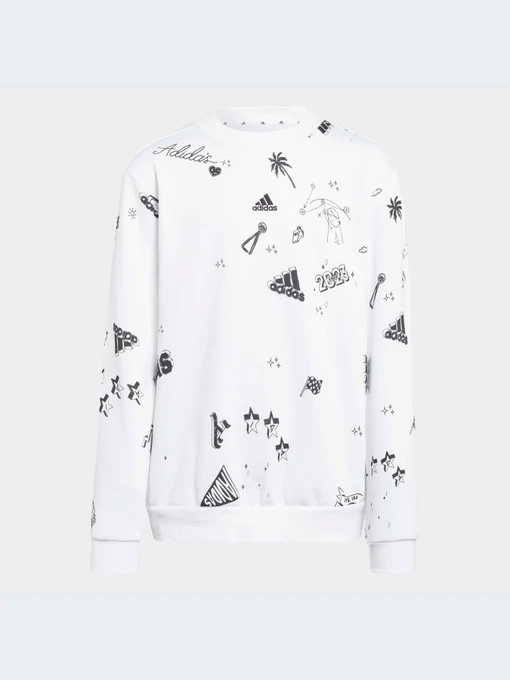 Худі та світшоти Adidas Graphics модель IA1575 Фото