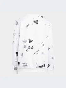 Худи и свитшоты Adidas Graphics модель IA1575 Фото