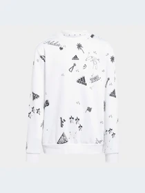 Худи и свитшоты Adidas Graphics модель IA1575 Фото