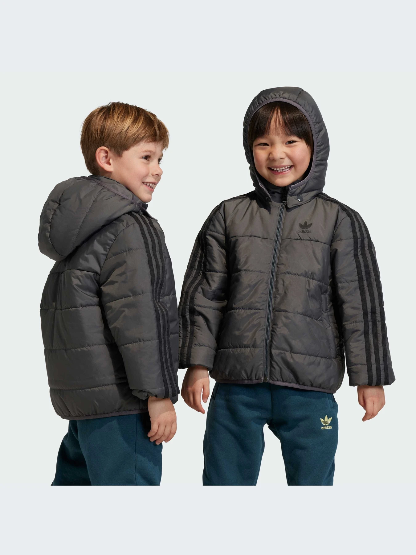 Куртки и дубленки Adidas Adicolor модель IJ7562 Куртки и дубленки Adidas Adicolor модель IJ7562 Фото