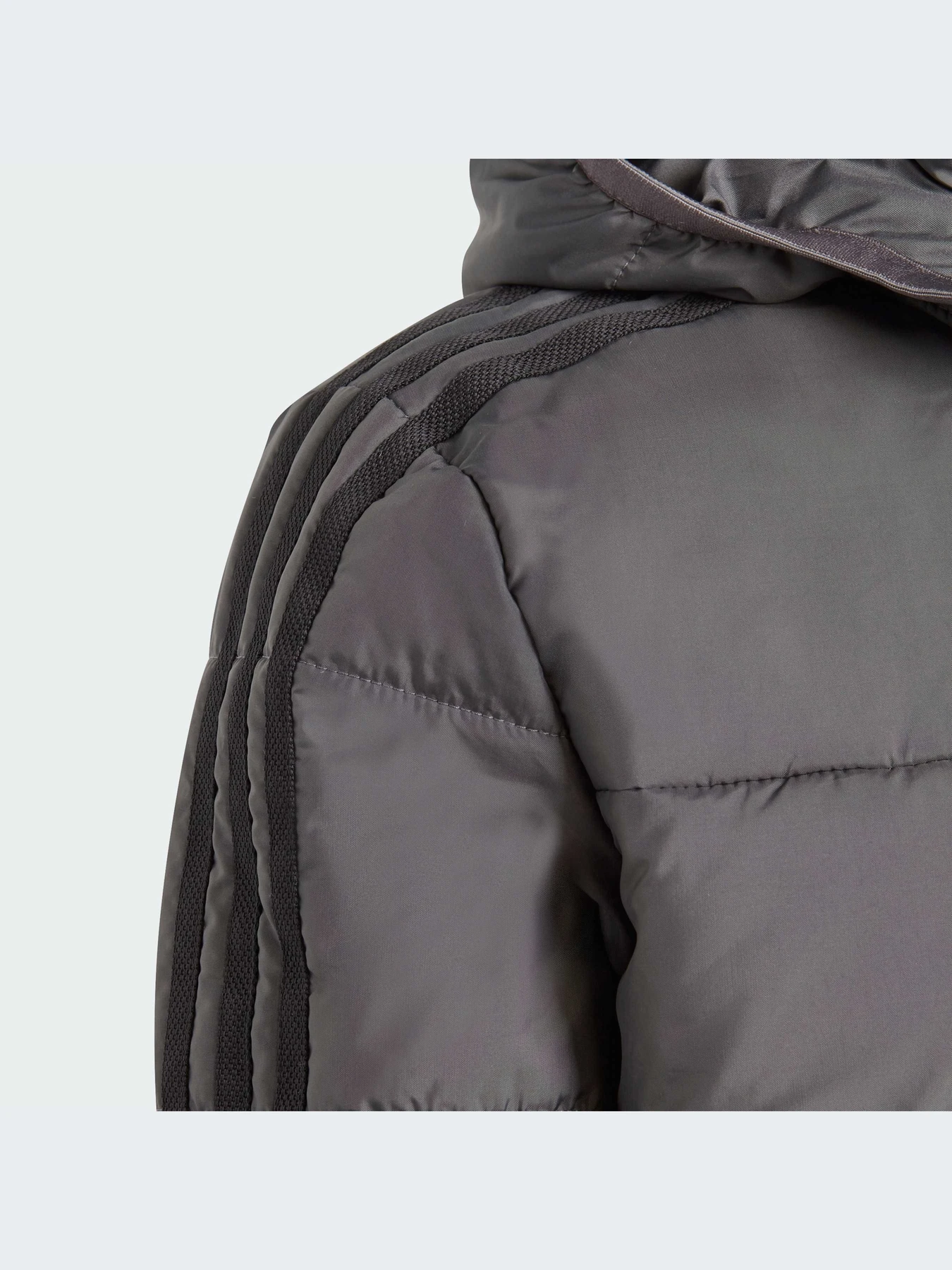 Куртки и дубленки Adidas Adicolor модель IJ7562 Куртки и дубленки Adidas Adicolor модель IJ7562 Фото