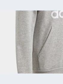 Худи и свитшоты Adidas модель GE1979 Фото