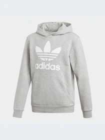 Худи и свитшоты Adidas модель GE1979 Фото
