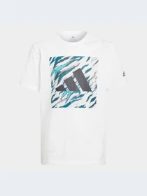 Футболки и поло Adidas Graphics модель HA4053 Фото