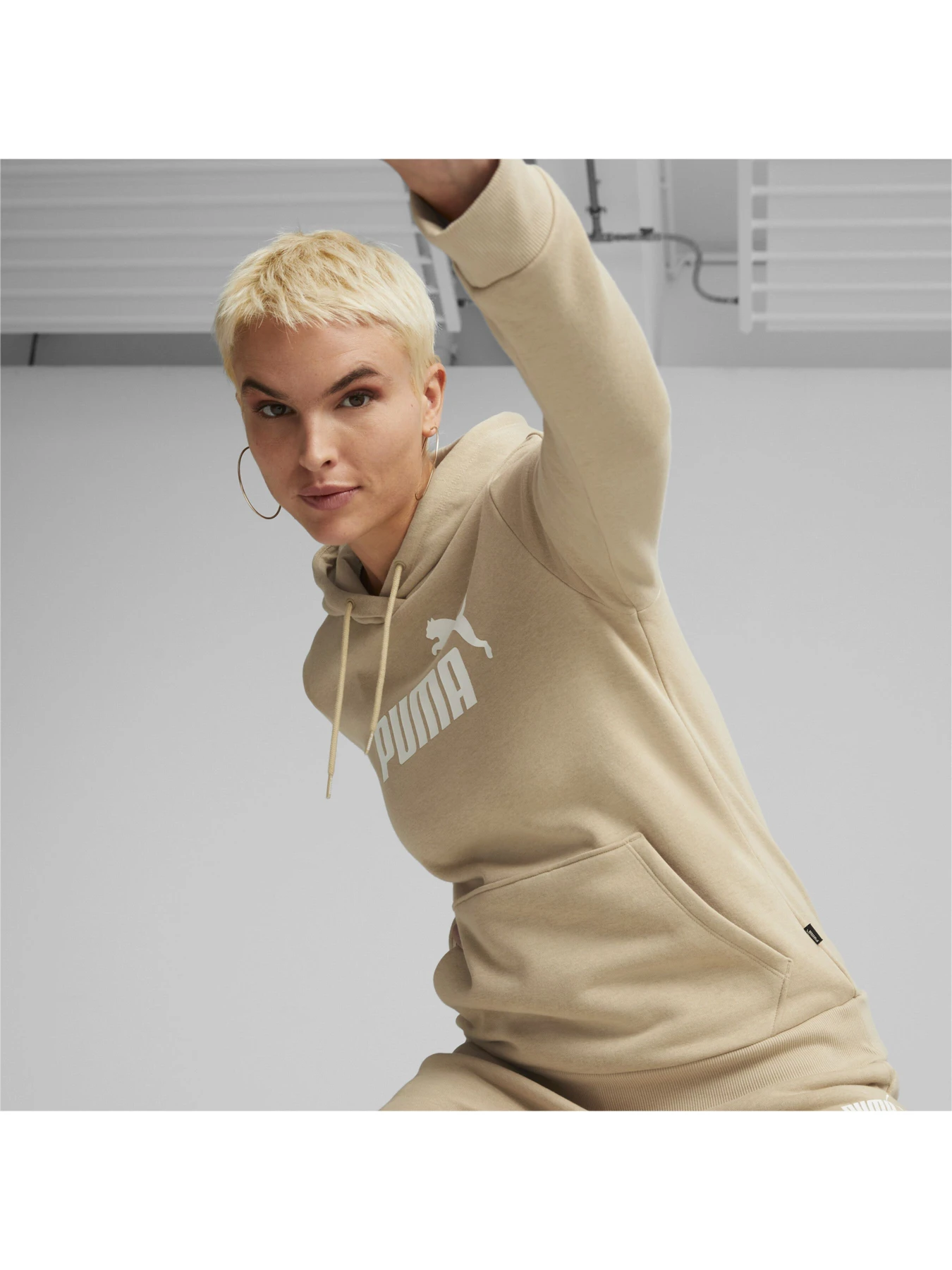 Худи и свитшоты PUMA Ess Logo Hoodie Fl модель 586789 Фото