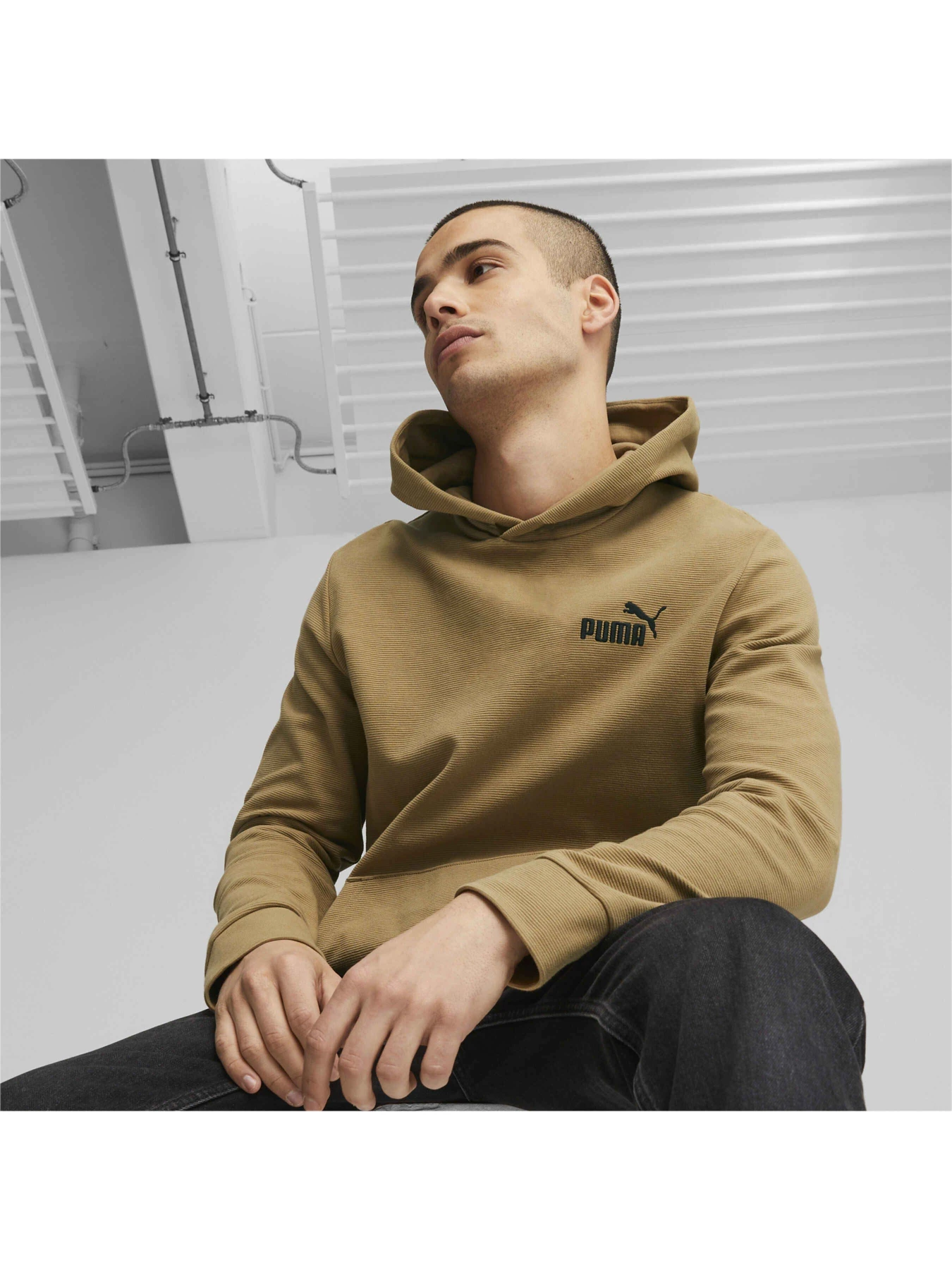 Худі та світшоти PUMA Ess Elevated Hoodie модель 675975 Худі та світшоти PUMA Ess Elevated Hoodie модель 675975 Фото