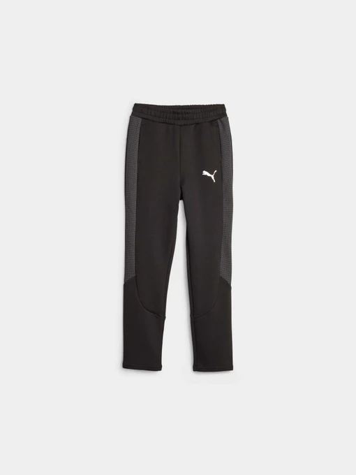 Брюки PUMA Evostripe Pants модель 676278 Фото