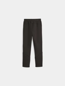 Штани PUMA Evostripe Pants модель 676278 Фото