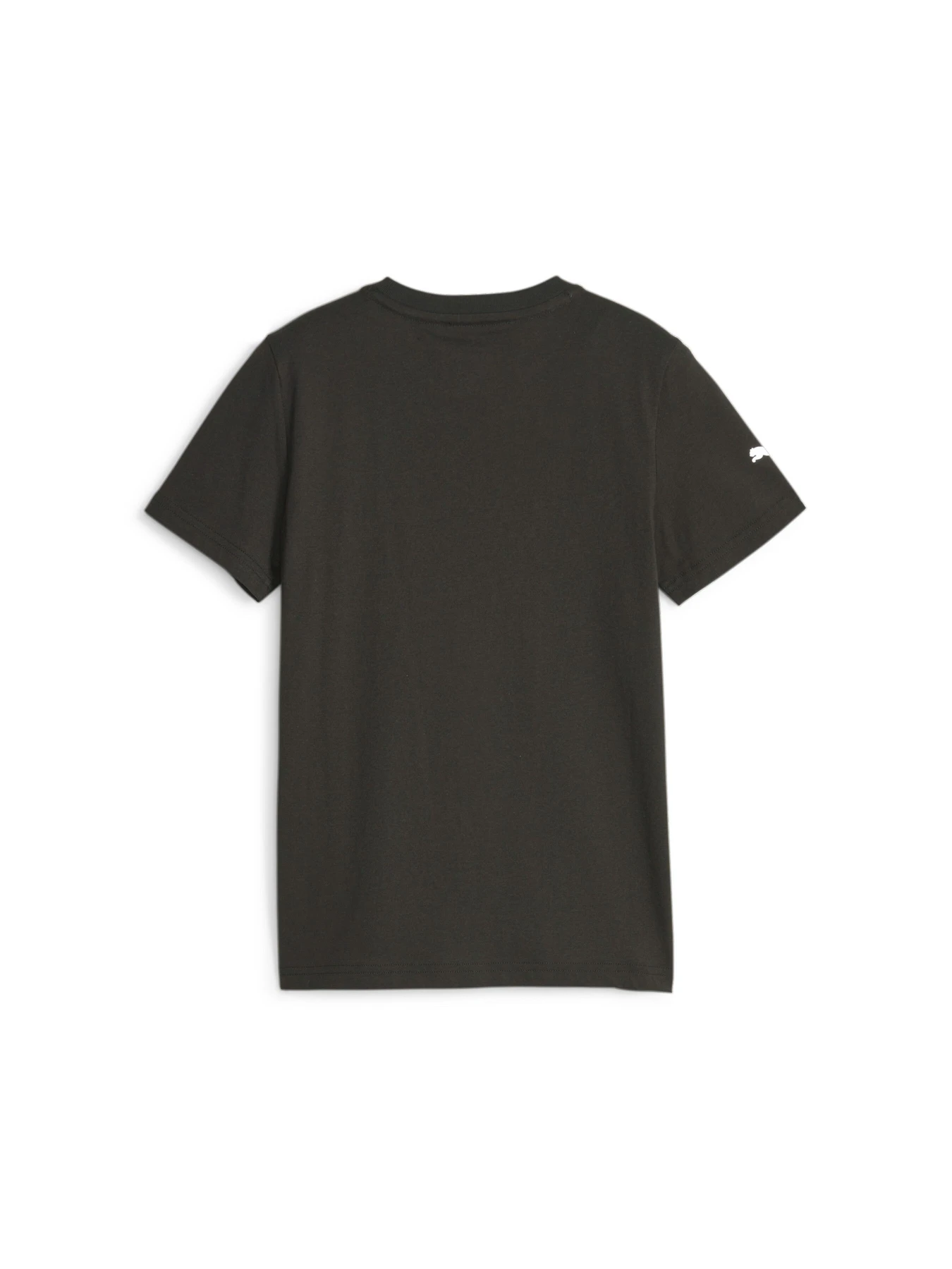 Футболки і поло PUMA Mapf1 Kids Logo Tee модель 621177 Фото