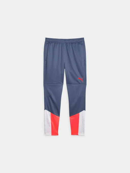Брюки PUMA Individualcup Training Pants модель 658487 Фото