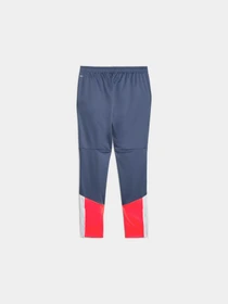 Штани PUMA Individualcup Training Pants модель 658487 Фото