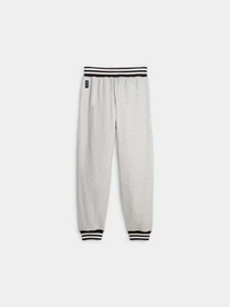Брюки PUMA Franchise Core Pant модель 623040 Фото