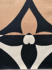 Шарфы и платки Regina Notte модель 4000000055558 Фото