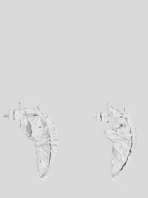 Серьги-гвоздики TOUS модель 211553530 Фото