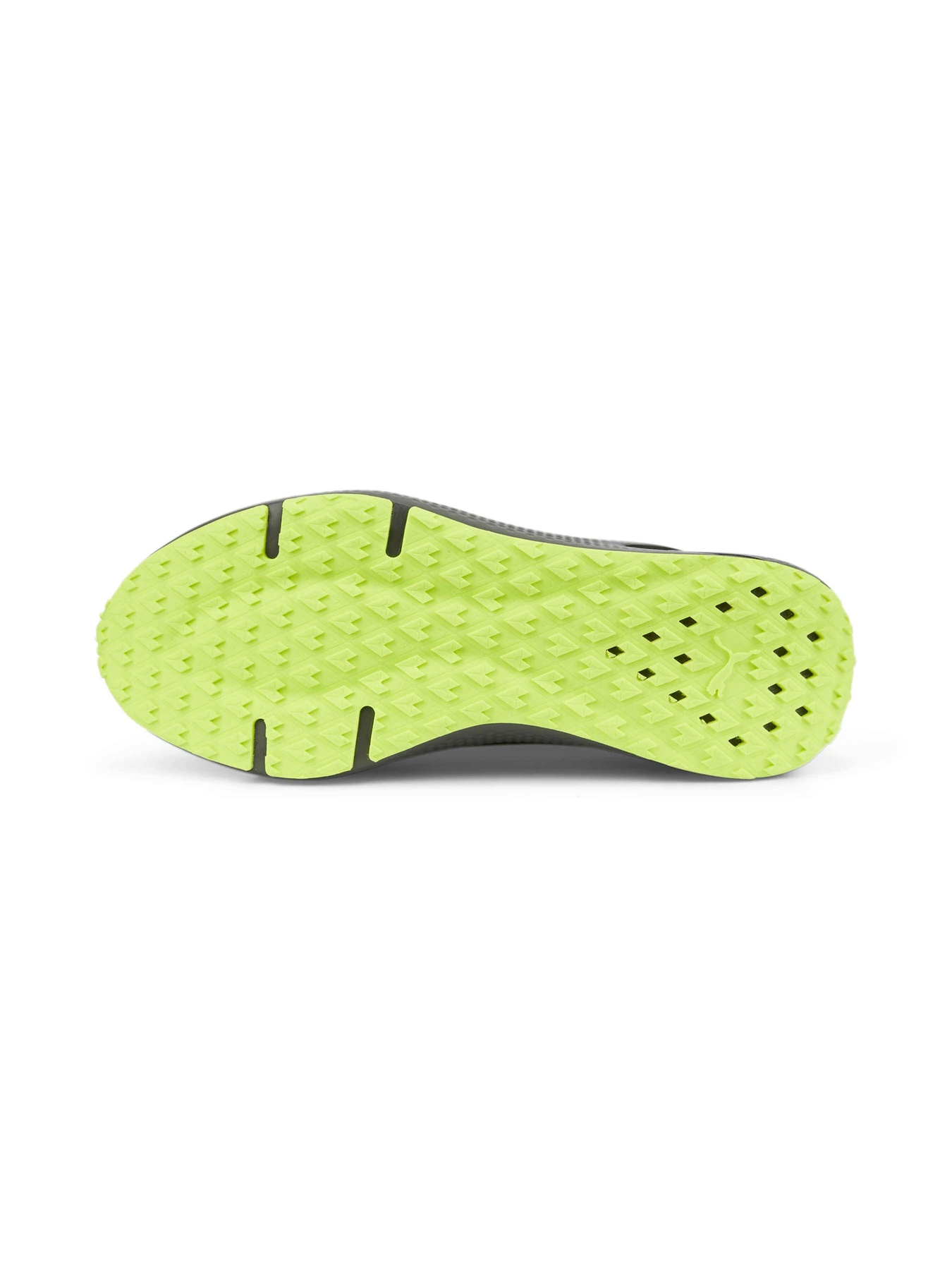 Кросівки PUMA Softride Pro Coast модель 377059 Фото
