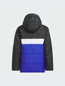 Куртки и дубленки Adidas модель IL6097 Фото