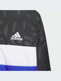 Куртки и дубленки Adidas модель IL6097 Фото