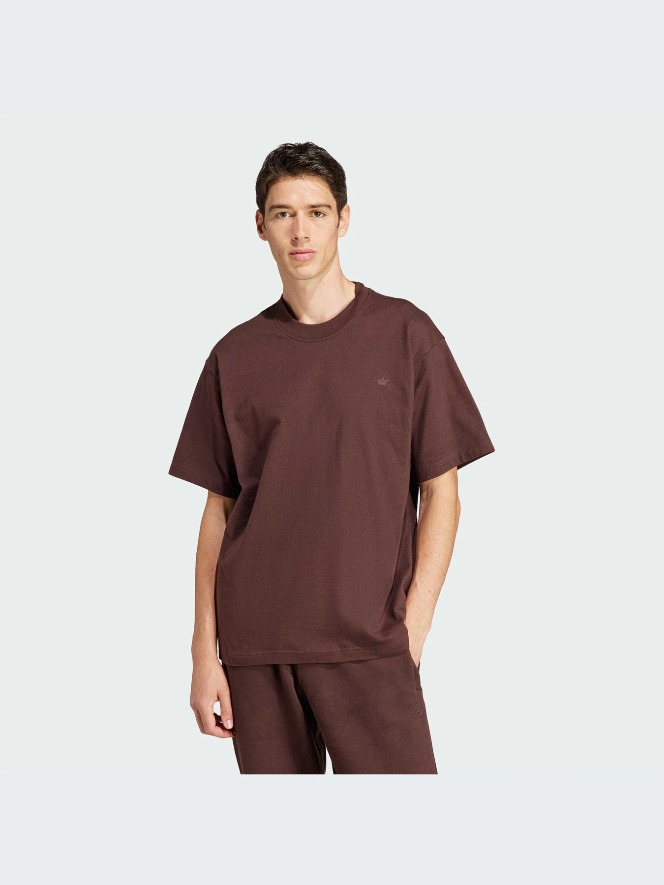 Футболки і поло Adidas Adicolor модель IM4391 Футболки і поло Adidas Adicolor модель IM4391 Фото