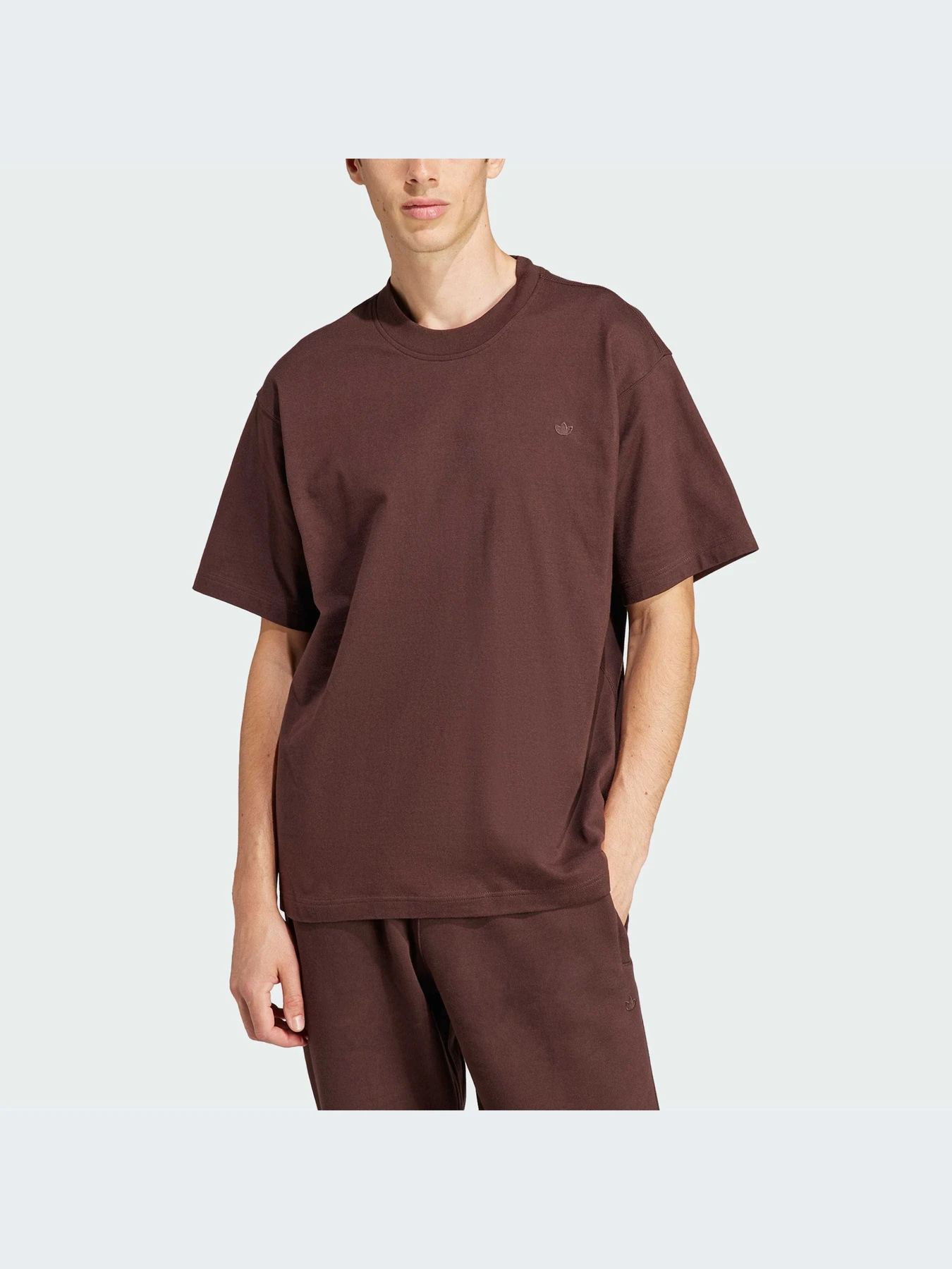 Футболки і поло Adidas Adicolor модель IM4391 Футболки і поло Adidas Adicolor модель IM4391 Фото