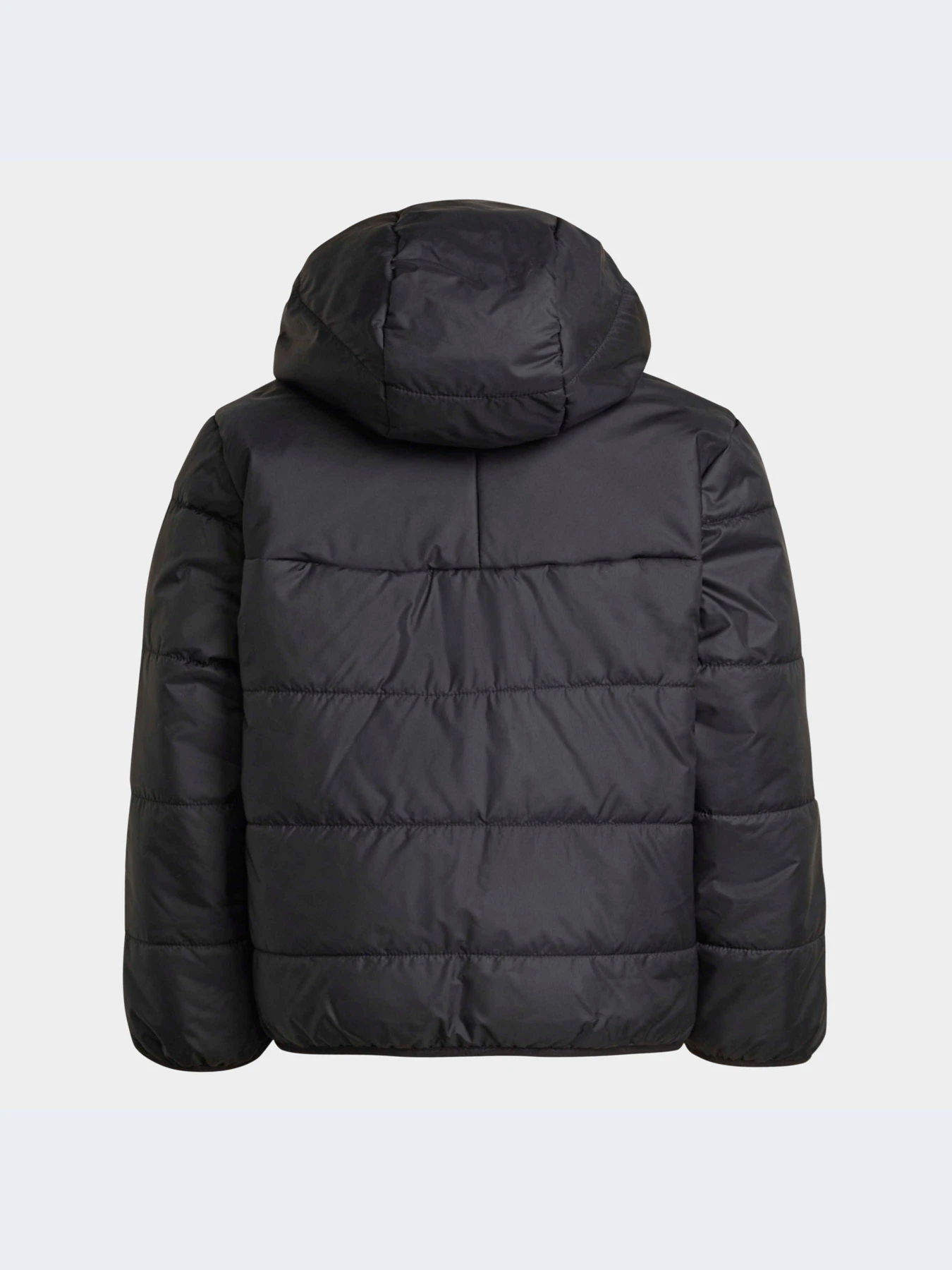Куртки и дубленки Adidas Adicolor модель HK2960 Куртки и дубленки Adidas Adicolor модель HK2960 Фото