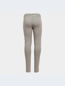 Брюки Adidas Adicolor модель HK2971 Фото