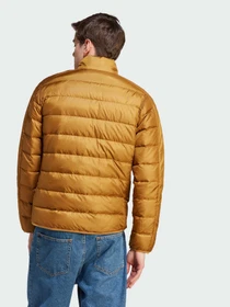 Куртки та дублянки Adidas модель IK3208 Фото