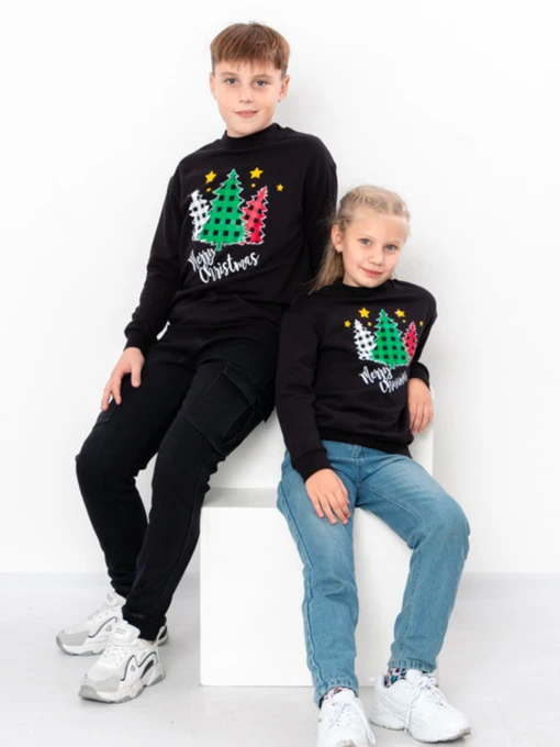 Худі та світшоти Носи своє модель 6344-f-chornij-qlinka Фото