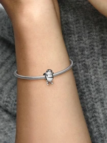 Класичні PANDORA модель 792988C01 Фото