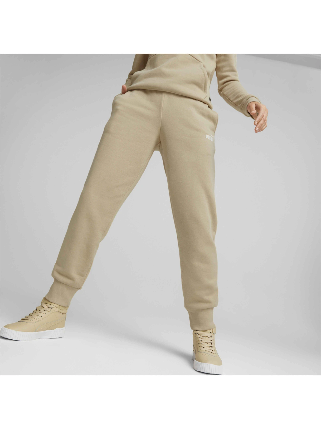 Брюки PUMA Ess Sweatpants модель 586841 Фото