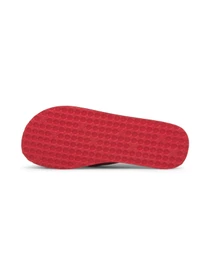 Шлёпанцы PUMA Epic Flip V2 модель 360248 Фото