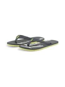 Шлёпанцы PUMA Epic Flip V2 модель 360248 Фото