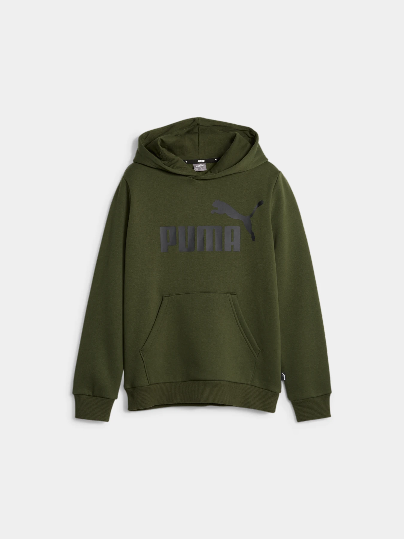 Худи и свитшоты PUMA Ess Big Logo Hoodie модель 586965 Фото