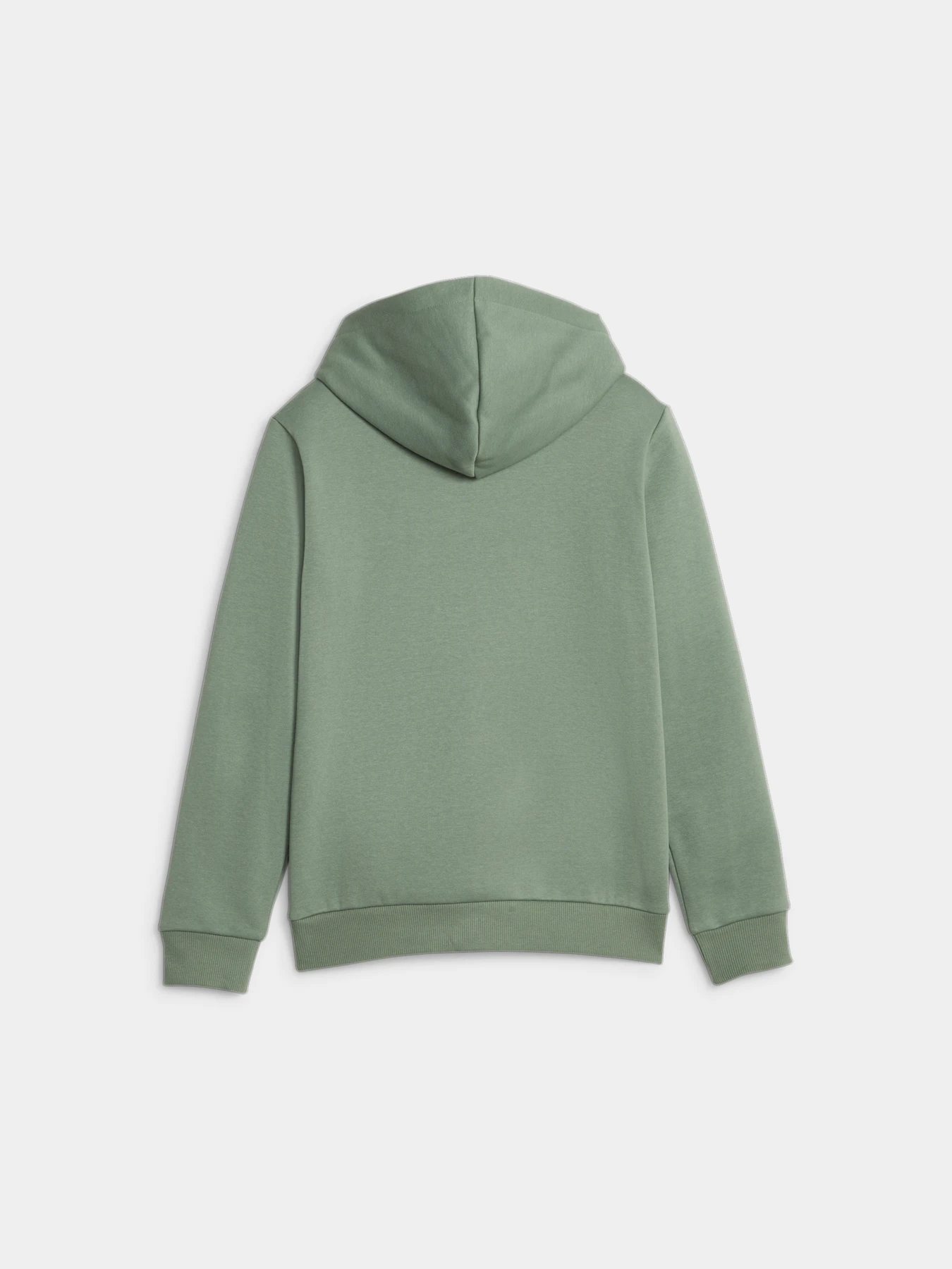 Худи и свитшоты PUMA Ess Big Logo Hoodie модель 586965 Фото