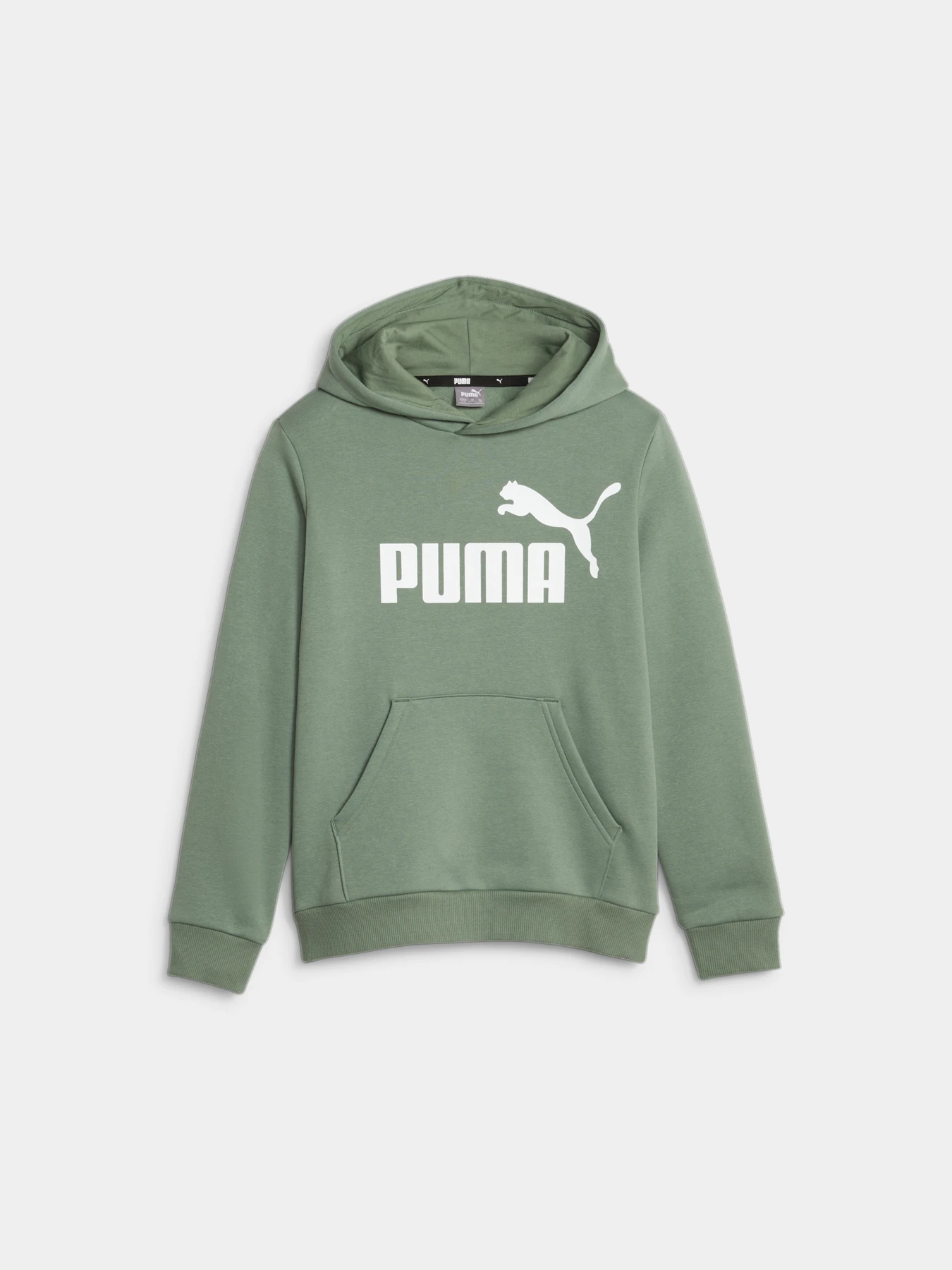 Худи и свитшоты PUMA Ess Big Logo Hoodie модель 586965 Фото