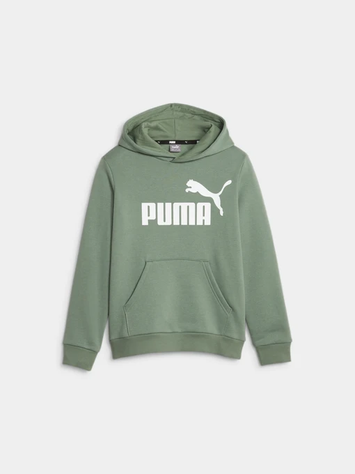 Худи и свитшоты PUMA Ess Big Logo Hoodie модель 586965 Фото