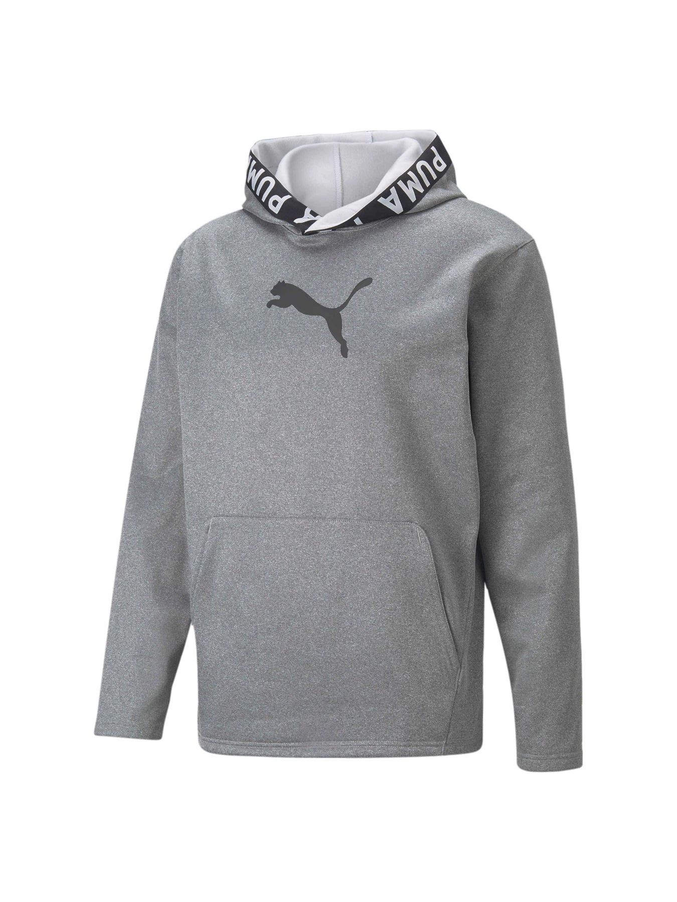 Худі та світшоти PUMA Train Pwr Fleece Hoodie модель 520893 Худі та світшоти PUMA Train Pwr Fleece Hoodie модель 520893 Фото