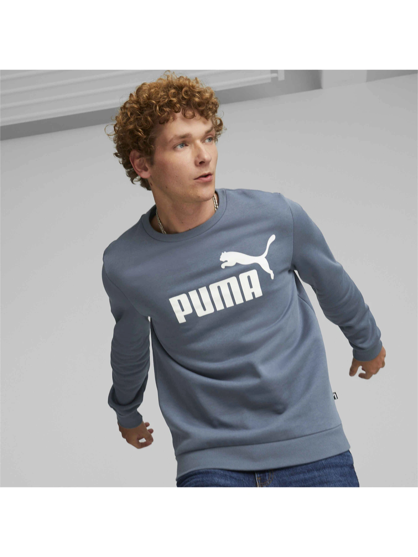 Худі та світшоти PUMA Ess Big Logo Crew модель 586679 Худі та світшоти PUMA Ess Big Logo Crew модель 586679 Фото